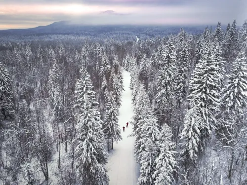 Wells BC nordic