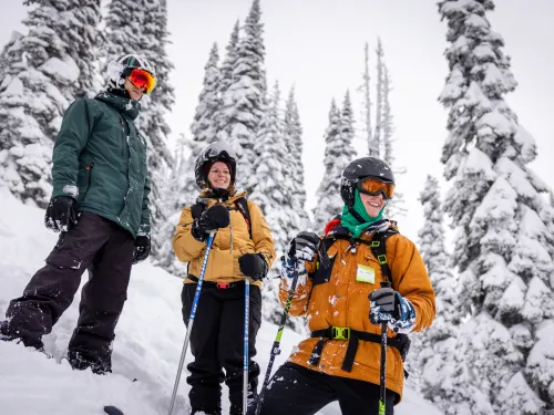 Powder King tree skiing deep powder trio